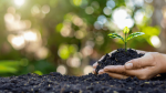 Soil conservation through innovation and sustainability